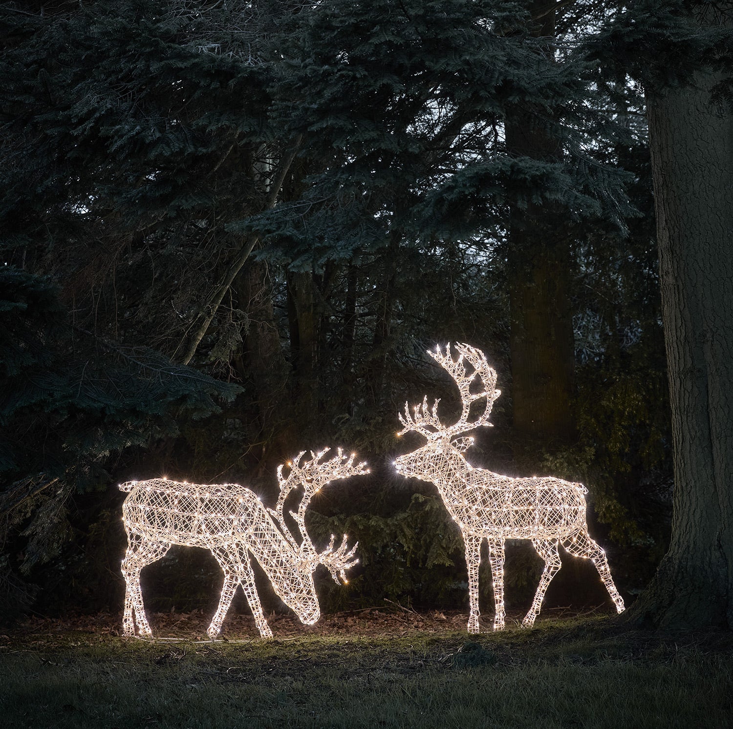 1.8m XL Arkendale Stag LED Light Up Reindeer Duo - Image 3
